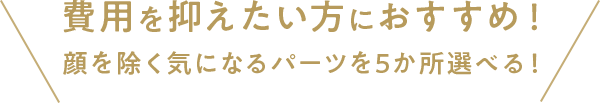  費用を抑えたい方におすすめ！