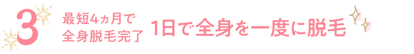 1日で全身を一度に脱毛
