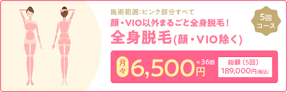 全身脱毛(顔・VIO除く)