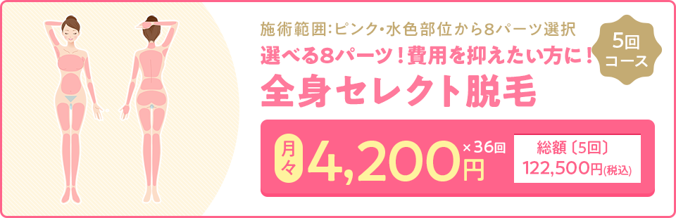 全身セレクト脱毛