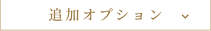 追加オプション