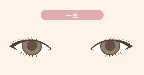 目の二重整形の一重の特徴